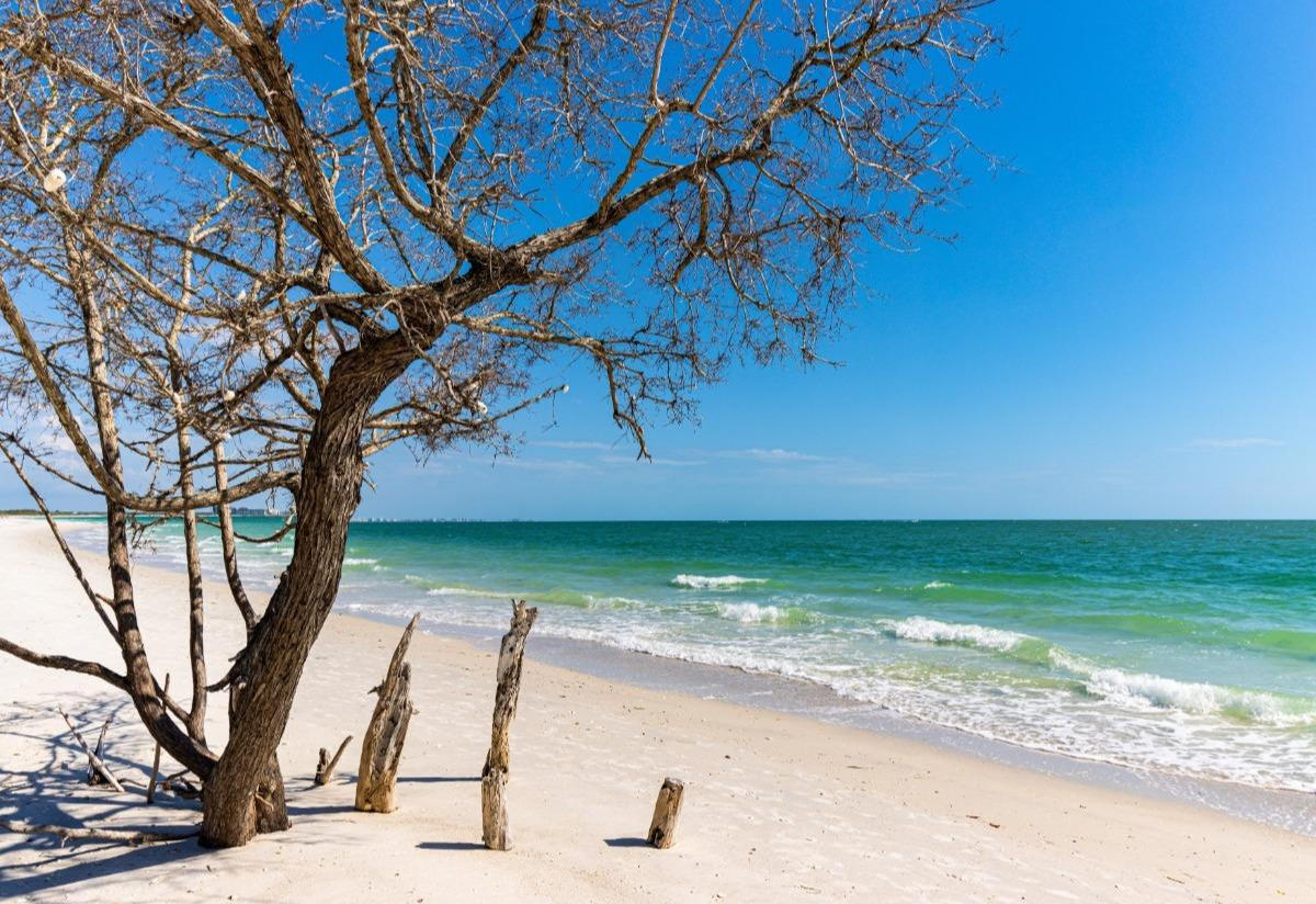 Family beach day in Southwest Florida