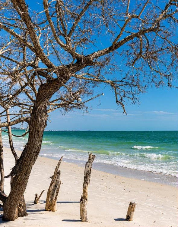 Monthly winter rentals in Southwest Florida near Gulf Coast beaches